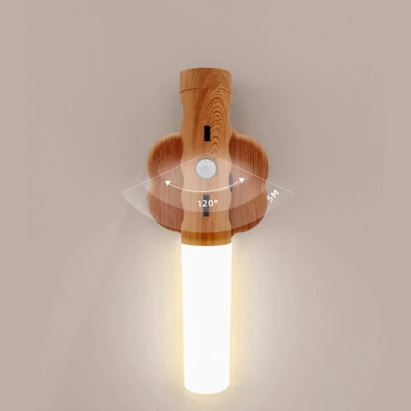 ضوء حساس ليلي (5)